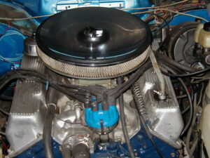 Mako olympus digital camera