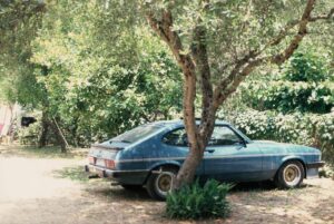 Mako whatsapp image 2026 01 03 at 23.48.50 (1)