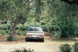 Mako whatsapp image 2026 01 03 at 23.48.50 (2)