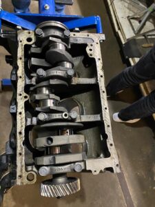 whatsapp image 2026 01 04 at 00.16.24